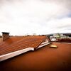 Отель Hostal Dulce Hogar, фото 1