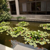 Отель National Library Training Base Changli, фото 5