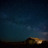 Отель Magical Tented Lodge in Yala- Thissamaharamaya, фото 14