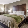 Отель Comfort Inn Jackson, фото 4