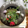 Отель Suri's House Homestay, фото 29
