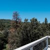 Отель Birds Eye View в Йосемити-Форкс