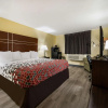 Отель Econo Lodge Spotsylvania Town Center, фото 4