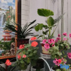 Отель Shengyi Hotel (Wutai Mountain Tourist Center Store), фото 10