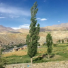Отель D'Zojila - Kargil, фото 16