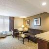 Отель Quality Suites Milwaukee Airport, фото 34