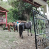 Отель Ecohostal Villa Hidalgo, фото 12