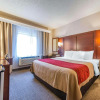 Отель Comfort Inn North - Air Force Academy Area, фото 7