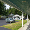 Отель White Trellis Motel, фото 10