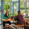 Отель ITH Santa Barbara Beach Hostel, фото 24
