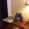Отель Daisy Hill Bed and Breakfast, фото 8