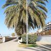 Отель Terrassa De Mar Apartament в Масноу