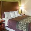 Отель Comfort Inn, фото 6