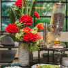 Отель Alia Residence, фото 12