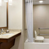 Отель Embassy Suites by Hilton Denver Downtown Convention Center, фото 13