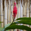 Отель Villas Edenia, фото 19