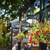 Отель Bowling Green, фото 14