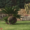 Отель Villa Maremonti, фото 19