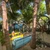 Отель The Funky Dodo Backpackers Hostel, фото 34