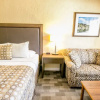 Отель Crystal Springs Lodge, фото 49
