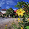 Отель La-ngu Phupha Resort, фото 1