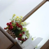 Отель Meshendra Garden Hotel, фото 4