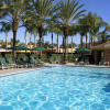 Отель Sheraton Park Hotel at the Anaheim Resort, фото 17