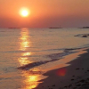 Отель House With 3 Bedrooms In Torre San Giovanni With Enclosed Garden And Wifi 700 M From The Beach, фото 15