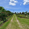 Отель Castle by the Sea, 7 Bedroom, Ocean View, Putting Green, Tiki Bar, Sleeps 17, фото 9