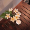 Отель Villa Hiriketiya, фото 5