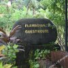 Отель Flamboyan Guest House, фото 34