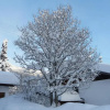 Отель Haus am Weißenbach, фото 5