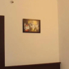 Отель Mewar Avenue Guest House, фото 12