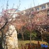 Отель Oriental Rihigh International Hot Spring Resort, фото 25
