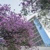 Отель Guarani Asuncion Hotel в Асунсьоне
