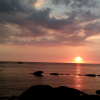 Отель Free Beach Resort, фото 10