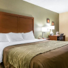 Отель Holiday Inn Express Winchester, фото 6