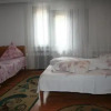 Отель Pensiunea Bianca, фото 7