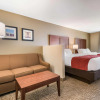 Отель Comfort Inn & Suites Harrisburg - Hershey West, фото 5