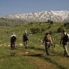 Отель Alpine hotel cedars, фото 13