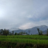 Отель Kandbari Hills, фото 4