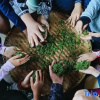Отель Yehouxi Homestay, фото 18