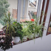 Отель Guest House Prodanovi, фото 5