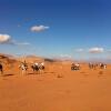 Отель Obeid's Bedouin Life Camp, фото 11