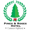 Отель Pines and Roses Hotel, фото 5