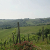 Отель La Pieve S.a.r.l., фото 34