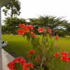 Отель Casa de Campo Heliconia, фото 7