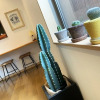 Отель Cactus Inn, фото 23
