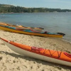 Отель Driftwood Motor Inn, фото 15