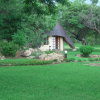 Отель Nyangombe Safari Lodge, фото 19